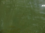 58184CIMG2631.JPG