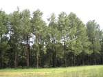14578IMG_4944.JPG