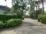 50897CIMG0597.JPG