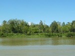 54684Bulungan (179).JPG