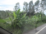 26687IMG_3292.JPG