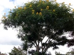 5538100_0917.JPG