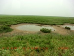 39054CIMG4639.gps.jpg