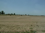 19196P1010042.JPG