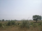 9062RIMG0142.JPG
