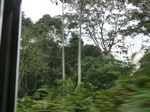 49863CIMG6200.JPG