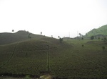 15032IMG_3845.JPG