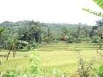 15844IMG_4385.JPG