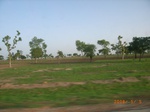 8889nigeria 100.jpg