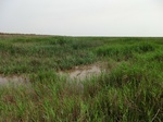 53800CIMG0267.JPG