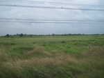 33370IMG_5710.JPG