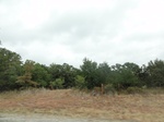 35844DSC02611.JPG