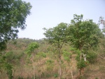 3800RIMG0104.JPG
