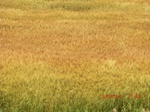 29608CIMG0876.JPG