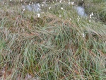 24934DSC00041.JPG