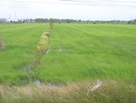 33471RIMG0211.JPG