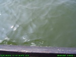 1354R0015126_tag.jpg