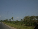 8981RIMG0056.JPG
