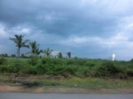 43369CIMG6432.JPG