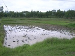33395RIMG0135.JPG