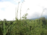 16446IMG_5231.JPG