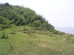 737R0015245.jpg