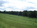 32320p57_s.jpg