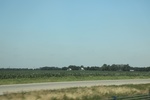 2024-06-17_21-20-39_130D893E-886D-4ECE-B2D3-C4AEF6485A45.jpeg