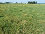 29199STUA20110607GPS.JPG