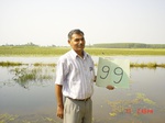 6633gt099-wetland-cropland-1.jpg