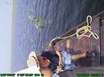 1512R0015205_tag.jpg