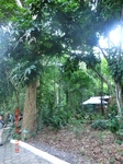 2024-11-29_05-41-45_CIMG3092.JPG