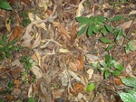 46784DSC02122.JPG