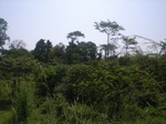8968RIMG0043.JPG