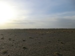 36673CIMG0442.JPG