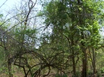 1788727042008(22).JPG