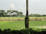 24545DSC00746.JPG
