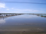 26204RIMG0256.JPG
