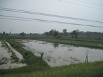34487IMG_5470.JPG