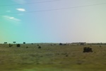 2024-06-17_21-12-31_76B095CB-B401-4B3E-84A0-DE1B4E8FCD83.jpeg