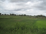 33299IMG_5633.JPG