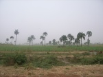 3948RIMG0252.JPG