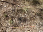 2012-08-28_20-34-47_P1010138.jpg