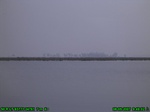 5862007-08-05_09-49-02_tag.jpg