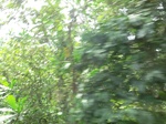 49620CIMG5957.JPG