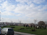 16768DSC05235.JPG
