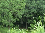 34829CIMG1489.JPG