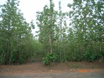 8903nigeria 115.jpg