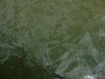 58078CIMG2372.JPG