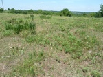 54029HECT20120605GPS.JPG